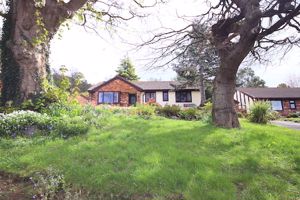 Photo 24- click for photo gallery